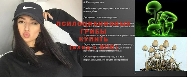 прущая мука Аркадак