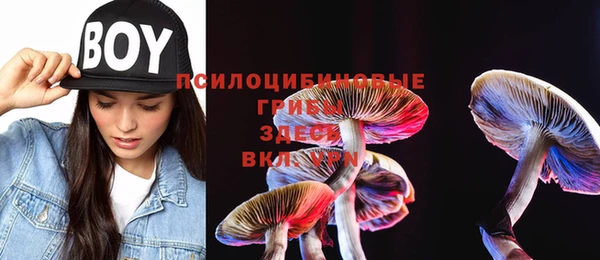 прущая мука Аркадак